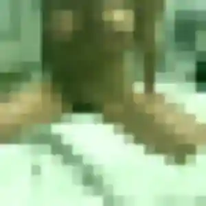 Rejoins Gwenaelle, 32 ans à Trouville-la-Haule en t'inscrivant