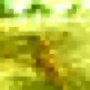 Lisa, 22 ans, disponible à Trouville-sur-Mer pour une rencontre coquine