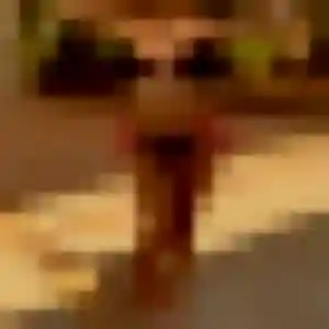 Sexy Axelle, 27 ans à Uhlwiller - voir sa photo