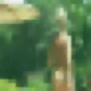 Jolie Laure, 38 ans à Val-de-Bonnieure - la contacter