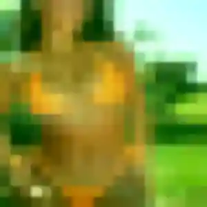 Photo exclusive de Celeste, 43 ans à Valergues - rencontre coquine
