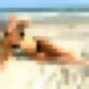 Charmante Louise, 45 ans à Valleroy - voir sa photo
