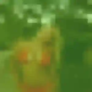 Jolie Lise, 25 ans à Valloire - la contacter