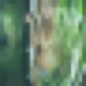 Photo sexy de Stephanie, 31 ans à Vaux-sur-Mer - plan discret