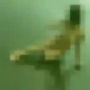 Photo exclusive de Anais, 41 ans à Vendays-Montalivet - plan discret