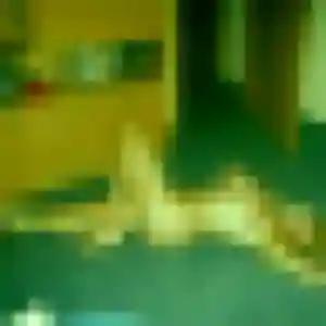 Felicite (28 ans) à Ventenac-en-Minervois cherche une rencontre aujourd'hui