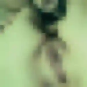 Magali, 33 ans, disponible à Vic-la-Gardiole pour une rencontre coquine