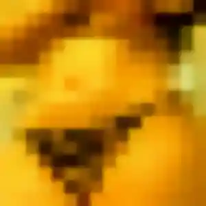 Rejoins Tessa, 22 ans à Vieille-Église-en-Yvelines en t'inscrivant