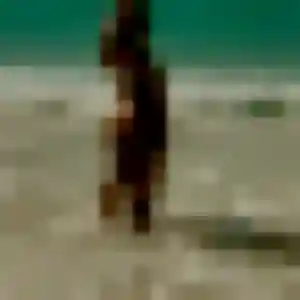 Chloe, 34 ans, connectée à Viesly pour un plan cul