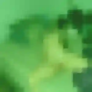 Profil de Felicite à Vieux-Boucau-les-Bains (25 ans) - plan cul gratuit