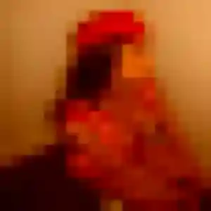 Découvre Georgette, 29 ans à Vieux-Vy-sur-Couesnon gratuitement