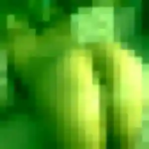 plan cul à Villecomtal-sur-Arros : photo de Laura, 25 ans - inscription gratuite