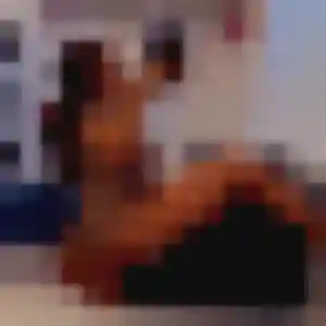 Jeannine (31 ans) à Villefagnan cherche une rencontre ce soir