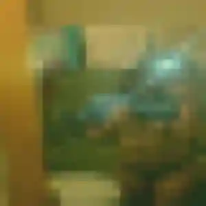 Charmante Audrey, 31 ans à Villefranche-de-Lauragais - découvrir son profil