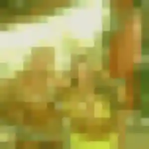 Rejoins Lucette, 43 ans à Villefranche-de-Lonchat gratuitement