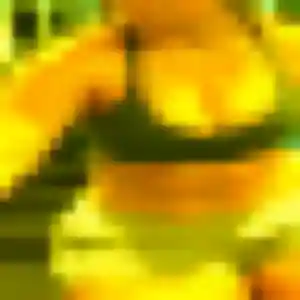 plan cul à Villeneuve-en-Retz : profil de Denise, 35 ans - inscription gratuite