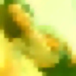 Iseult, femme de 27 ans cherche plan cul à Villeneuve-l'Archevêque