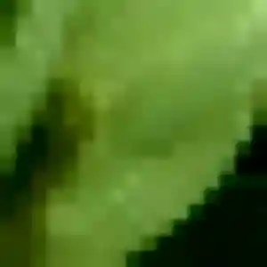 Corinne (22 ans) à Villeneuve-sur-Yonne cherche un plan cul ce soir