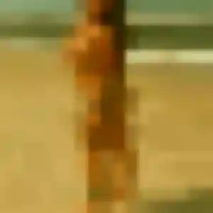 Contacte Aurelie, 26 ans à Villers-sur-le-Roule en t'inscrivant