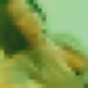 Photo de Corinne à Villette-de-Vienne (43 ans) - plan cul anonyme