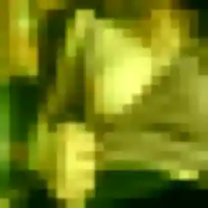 Jolie Amelie, 36 ans à Villeurbanne - voir sa photo