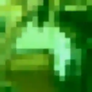 Djamila (38 ans) à Villiers-Charlemagne cherche une rencontre rapidement