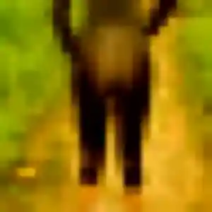 Laetitia de Villiers-Fossard, 25 ans - plan cul sans lendemain