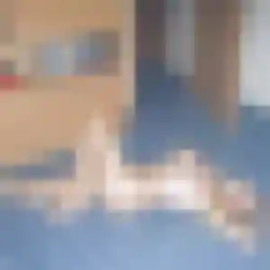 Margaux, 34 ans, cherche un plan cul à Vineuil-Saint-Firmin