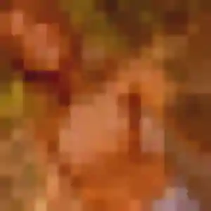 Photo exclusive de Maiwenn, 34 ans à Vinzier - rencontre sans lendemain