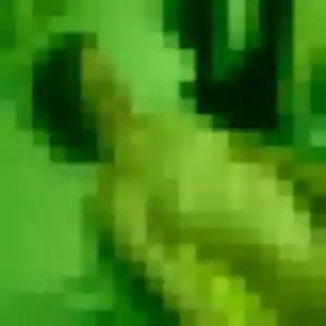 Photo privée de Caroline, 43 ans à Vire Normandie - rencontre coquine