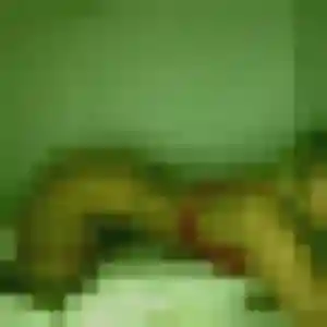 Jolie Pauline, 39 ans à Virey-sous-Bar - la contacter