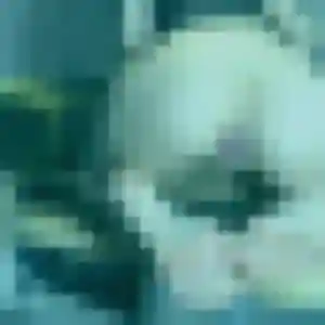 Renee, 22 ans, connectée à Vulaines-sur-Seine pour une rencontre coquine