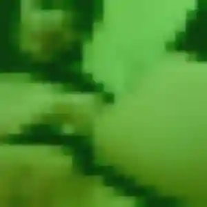 Alix, 42 ans, dispo pour plan cul à Wangen