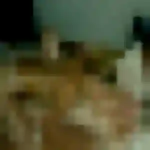 Honorine (27 ans) à Wanquetin cherche une rencontre aujourd'hui