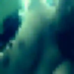 Profil de Olivia à Wavrans-sur-l'Aa (31 ans) - plan cul discret