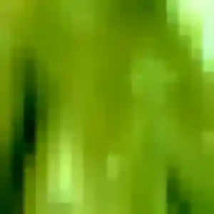 Profil de Morgane à Wormhout (26 ans) - plan cul discret