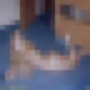 Joelle de Zimming, 22 ans - plan cul sans prise de tête